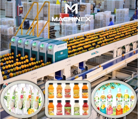 Dây chuyền sản xuất nước ép trái cây đa nguyên liệu
