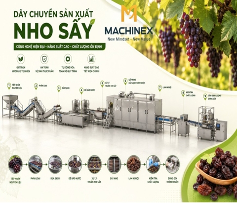 Dây chuyền sản xuất nho sấy
