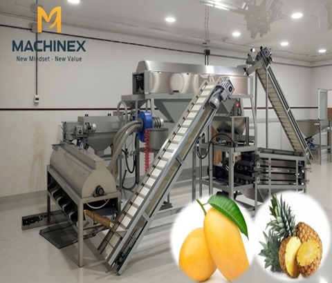 Dây chuyền sản xuất thơm, xoài đóng hộp