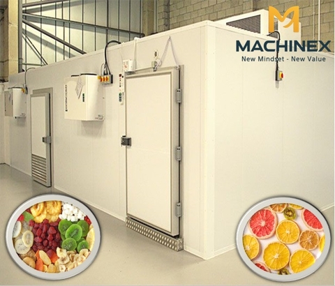 Dây chuyền sản xuất trái cây sấy lạnh đa nguyên liệu