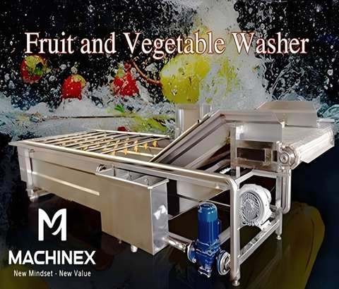 Dây chuyền rửa trái cây nông sản