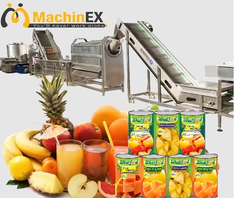Dây Chuyền Chế Biến Xoài, Thơm Đóng Hộp Công Suất 3 Tấn/giờ  - Dây chuyền chế biến trái cây đóng hộp qui mô công nghiệp Giải Pháp Tối Ưu Cho Nhà Máy Chế Biến Trái Cây