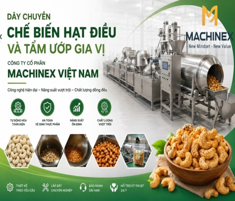 Dây Chuyền Chế Biến Hạt Điều Và Tẩm Ướp Gia Vị Machinex Việt Nam