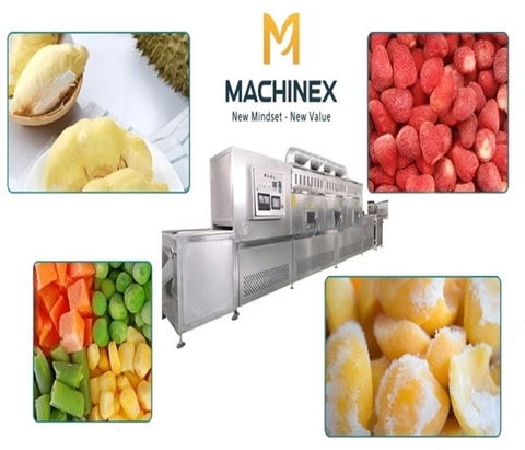 Dây Chuyền Cấp Đông IQF Trái Cây