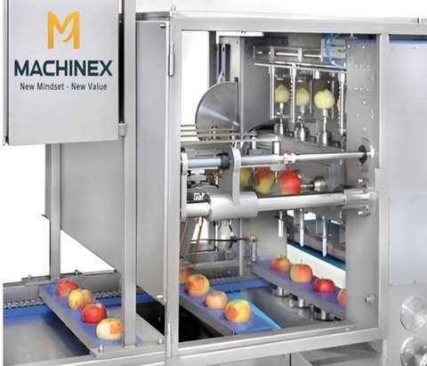 Dây chuyền gọt hoa quả tự động