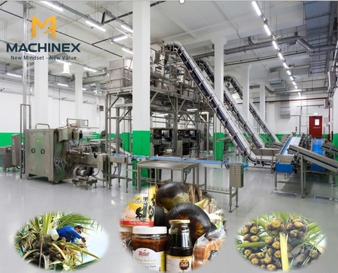 Dây Chuyền Sản Xuất Đường Thốt Nốt