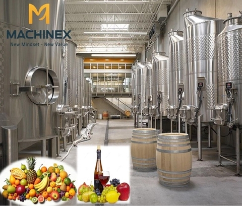 Dây Chuyền Sản Xuất Rượu Vang Trái Cây Đa Nguyên Liệu