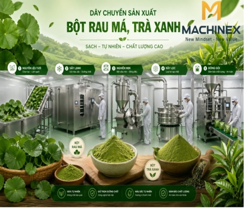 Dây chuyền sản xuất bột trà xanh, rau má