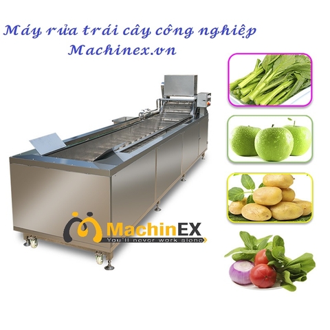 Máy rửa bưởi xuất khẩu - Dây chuyền rửa Thanh Long trái cây xuất khẩu qui mô công nghiệp