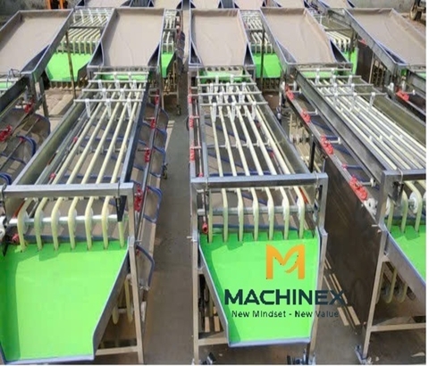 Máy phân loại trái cây dạng con lăn (cổng xả xả dốc)