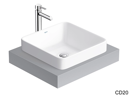 Chậu dương vành CD20