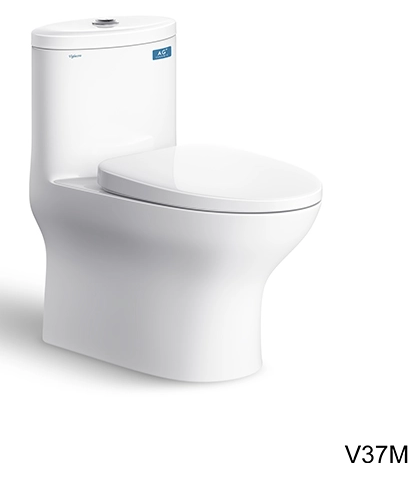 Bàn cầu một khối V37M + Vòi xịt VG826