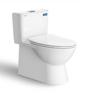 Bồn cầu 1 khối Nano Titan Viglacera V808 + Vòi xịt VG826