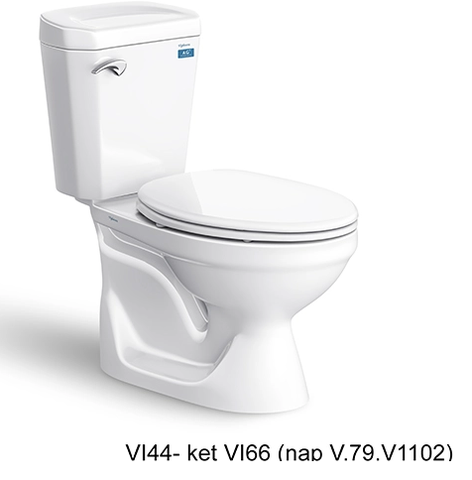 Bàn cầu hai khối VI44