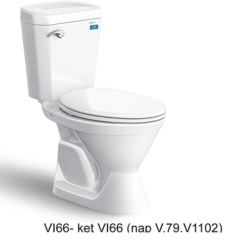 Bàn cầu hai khối VI77