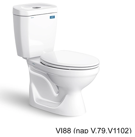 Bàn cầu hai khối VI88