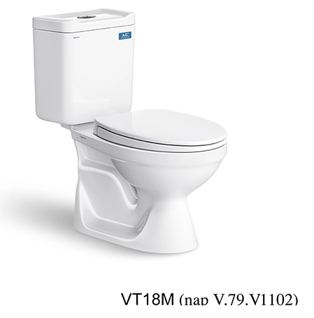 Bàn cầu hai khối VT18M