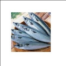 Cá nục bông Phú Quý KAIFOOD khay 526gram( không dăm đá )