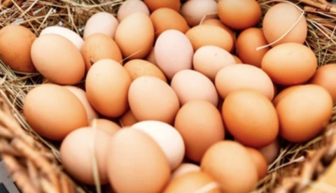 Vỉ 10 quả trứng gà công nghiệp loại ngon