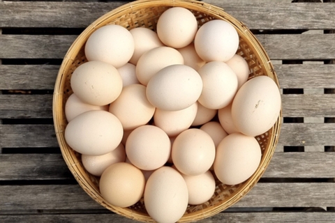 Vỉ 10 quả trứng gà ta quê loại ngon