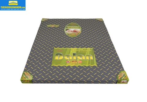 Nệm Foam Ép Dẻo Cao Cấp BALAN - Hàn Việt Hải
