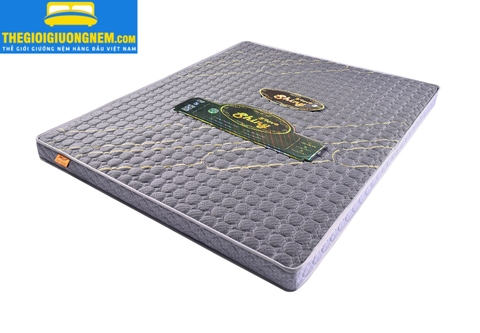 Nệm Bông Ép Chần Foam Cao Cấp Thẳng - S’Love Shiny