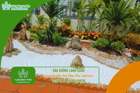 Bảo Dưỡng Cảnh Quan Sân Vườn Nhà Anh Khoa Khu Lakeview - Quận 9, TP.Thủ Đức, HCM