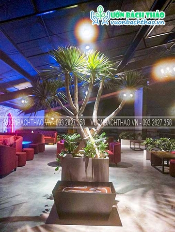 Thiết kế và thi công cảnh quan nội thất TANTO FAZ Coffee, Lounge & Beer _Tp. Thủ Đức