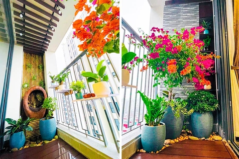 Tổng hợp những mẫu ban công chung cư đẹp với cây xanh hoa lá