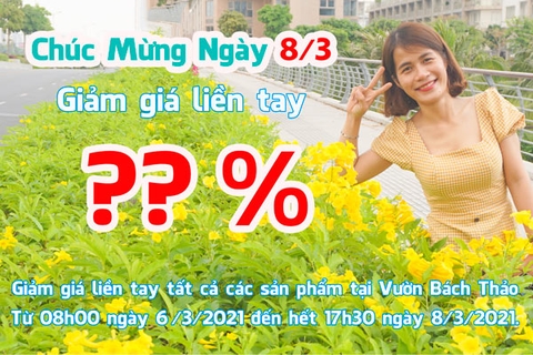 Mừng Ngày 8/3 Mua Cây Giá Hời