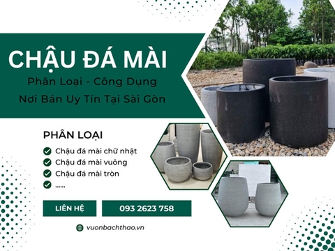 Chậu Đá Mài Trồng Cây Cảnh, Phân Loại, Công Dụng, Nơi Bán Uy Tín Tại Sài Gòn