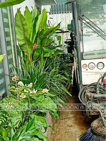 Thi công cảnh quan - Xưởng xe cơ giới  - Quận 12