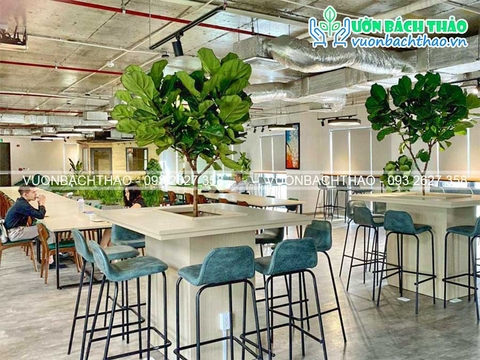 Thiết kế thi công cảnh quan nội thất văn phòng dịch vụ Kairos _ Quận 1