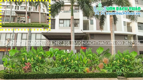 Cải tạo cảnh quan khuôn viên Chung cư Flora Kikyo - Tp.