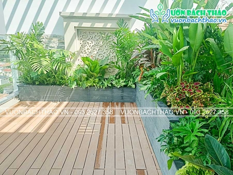 Thi công cảnh quan sân thượng ban công chung cư Chị Phương - Quận 7, Hồ Chí Minh