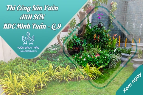 Thi Công Sân Vườn Nhà Anh Sơn Quận 9 - TP.HCM