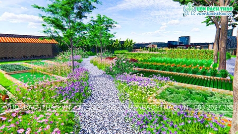 Thiết kế sân vườn nhà chị Hạnh - Giai đoạn 3 _ Tp. Thủ Đức