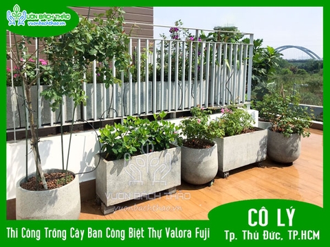 Thi Công Trồng Cây Ban Công Biệt Thự Valora Fuji - Cô Lý - Tp. Thủ Đức, TP.HCM