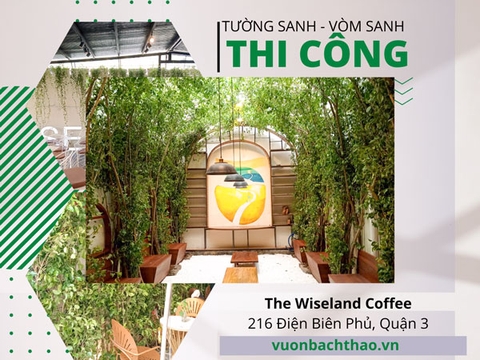 Thi Công Tường Sanh - Vòm Sanh Tại The Wiseland Coffee 216 Điện Biên Phủ, Quận 3