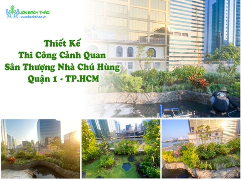 Thiết Kế Thi Công Cảnh Quan Sân Thượng Nhà Chú Hùng Quận 1 - TP.HCM