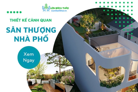 Thiết Kế Cảnh Quan Sân Thượng Nhà Phố
