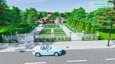 Thiết kế thi công sân vườn cảnh quan - Rau sạch _ Quận 2
