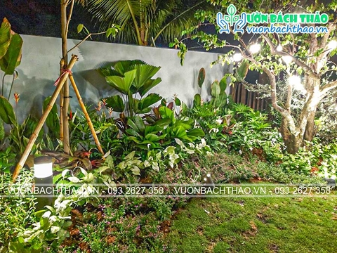 Thiết kế và thi công cảnh quan sân vườn biệt thự nhà Chị Chi - Riviera Cove