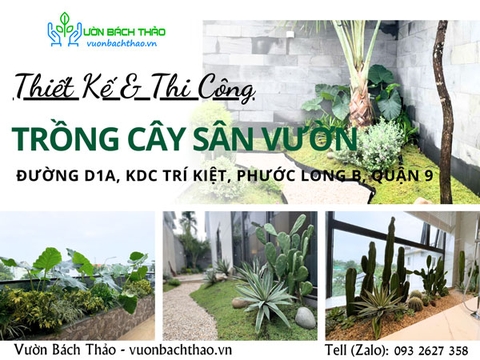 Thiết Kế, Thi Công Trồng Cây Sân Vườn Nhà Đường D1A, KDC Trí Kiệt, Phước Long B, Quận 9