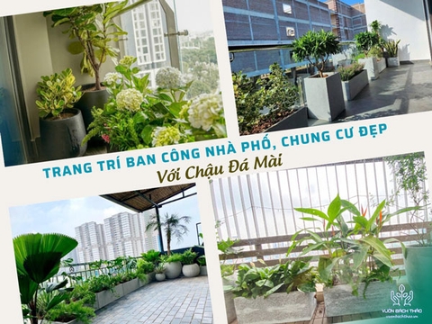 50+ Mẫu Trang Trí Ban Công Nhà Phố, Chung Cư Đẹp Với Chậu Đá Mài