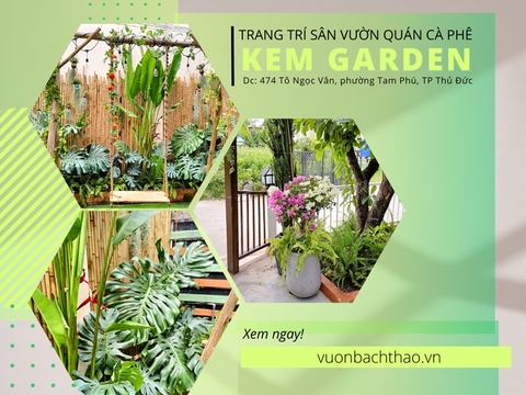 Trang Trí Sân Vườn Quán Cà Phê Kem Garden - Tô Ngọc Vân, Thủ Đức