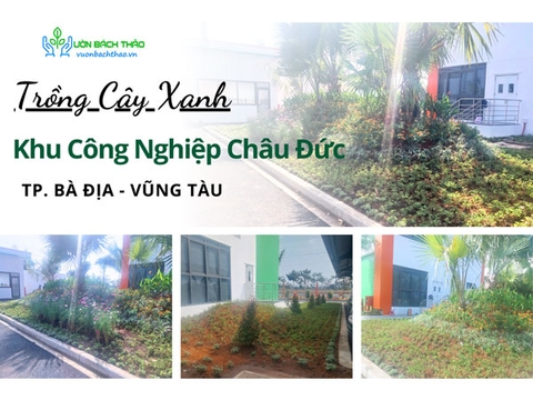 Trồng Cây Xanh Khu Công Nghiệp Châu Đức - TP. Bà Địa - Vũng Tàu