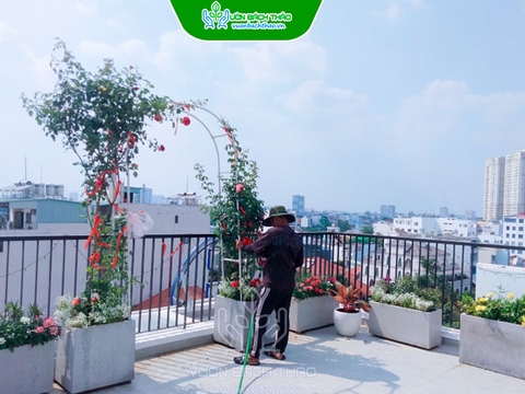 Thiết Kế Thi Công Sân Thượng Với Cây Hoa Cảnh Quận 2 - TP.HCM