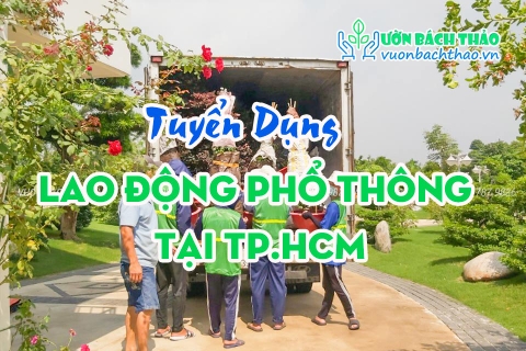 Tuyển Dụng Lao Động Phổ Thông Tại TP.HCM