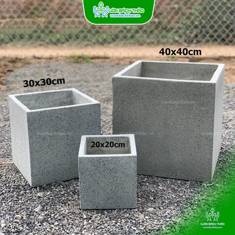 Chậu Đá Mài Vuông Trồng Cây